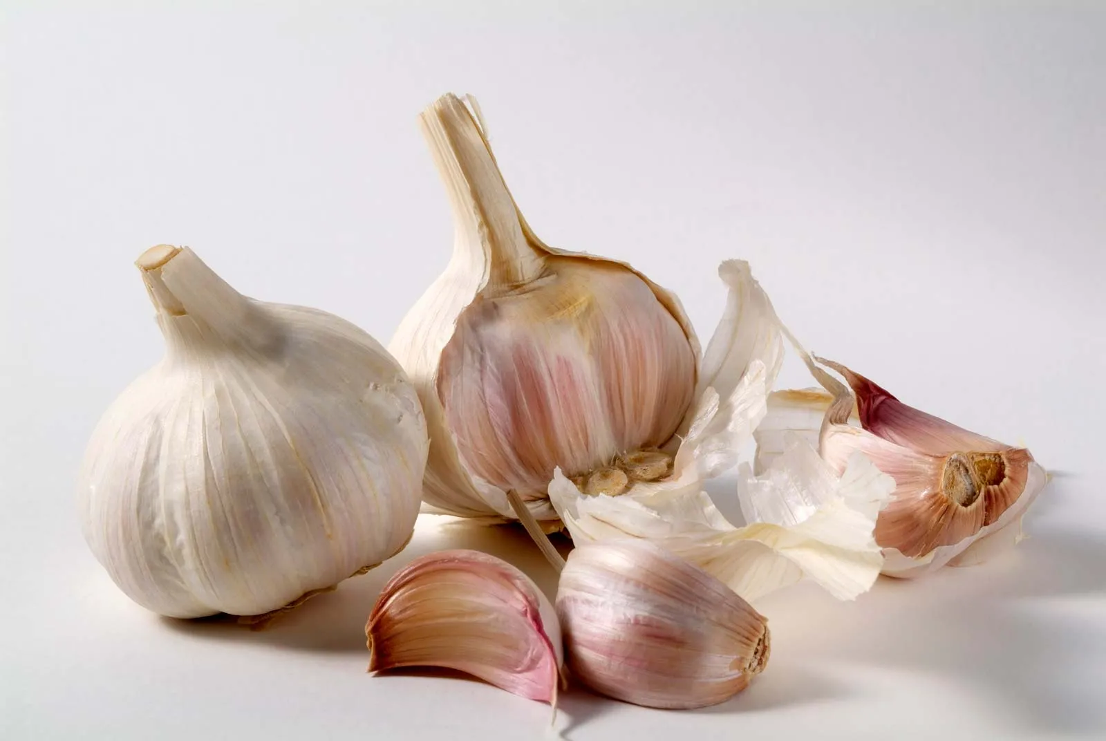 Therapeutic potential of Allium sativum (garlic) in type 2 diabetes mellitus: molecular pathways, bioactive profile, and metabolic regulation